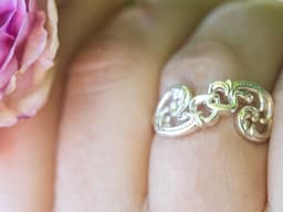 Two Hearts Love Grows Swedish Dalarna Kurbits Ring Size 8 3d model
