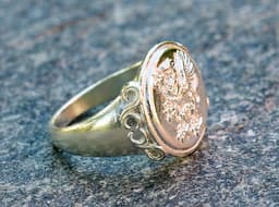 Griffin Ring Size 9 3d model