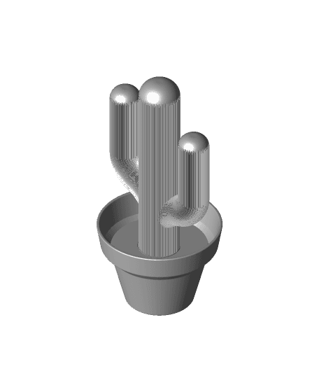 Cactus Functional Art - Stash Container #FunctionalArt #FunctionalArt 3d model