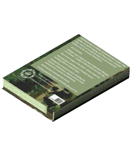Encyclopaedic_Book.glb 3d model