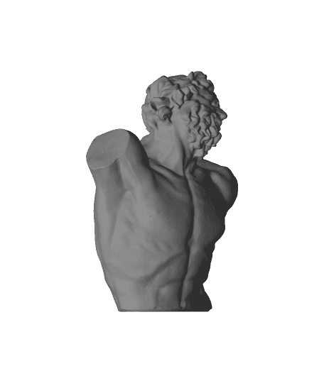 The Laocoon(generated by Revopoint POP) 3d model