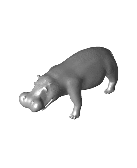 Hippo 3d model