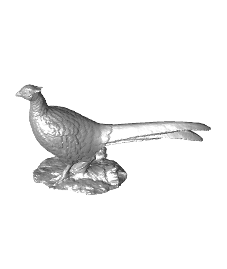 Updated Rooster Pheasant 3d model