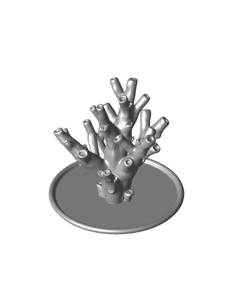 Jewelry holder “echinata coral” 3d model