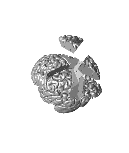 Brain Teaser by DaveMakesStuff full viewable 3d model