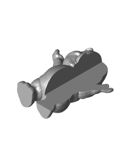 X-Ray bear 3d model