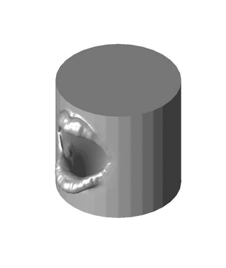 Cylinder mouth Simple Print 3d model