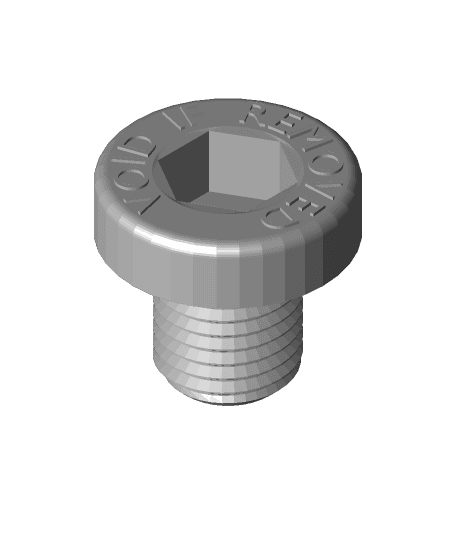 "Void if Removed" warranty indicator screw 3d model