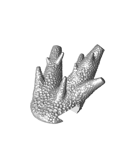 Wall coat hook “caliendrum coral” 3d model