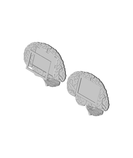 Frame of Mind - Snap Fit Brain Picture Frame 3d model