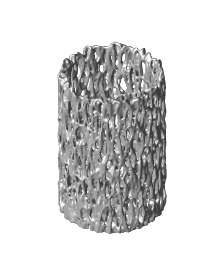 Banyan Trunk Vase (Medium) 3d model