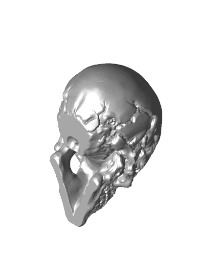 Blind Skull.stl 3d model