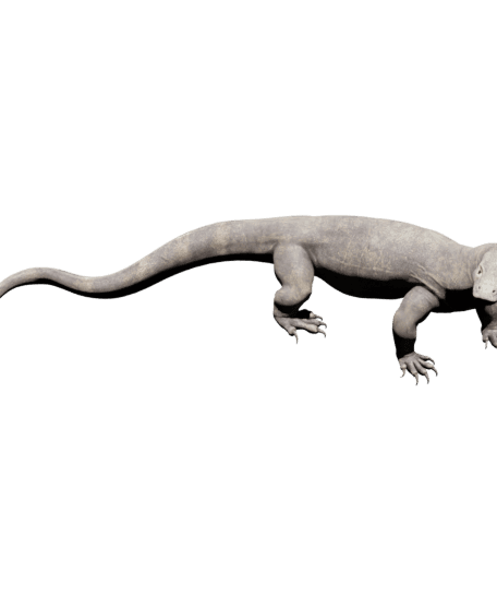 Komodo dragon 3d model