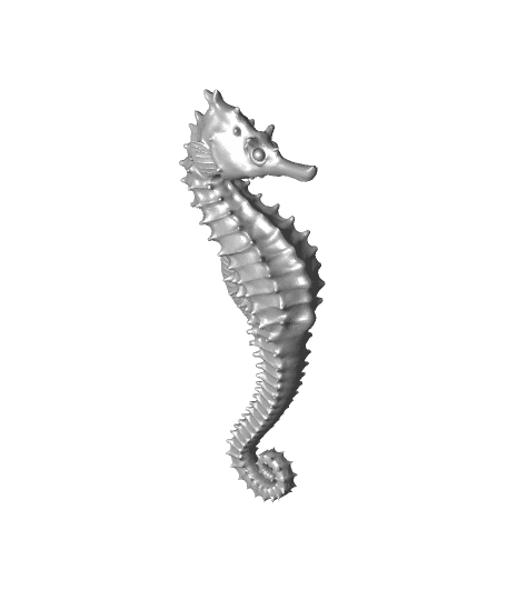 Giant Seahorse 3d model