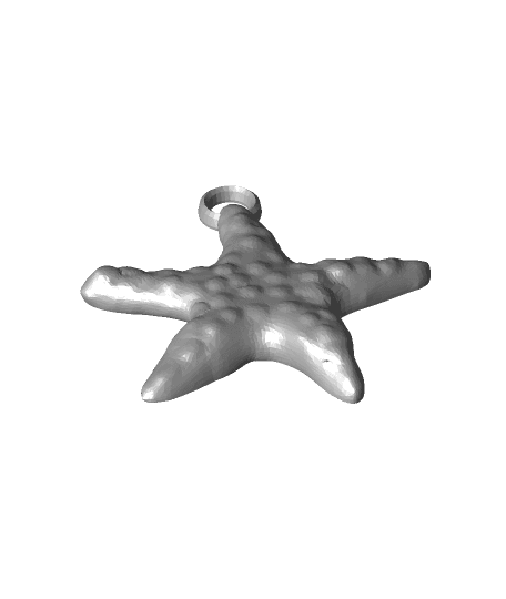 Starfish  3d model