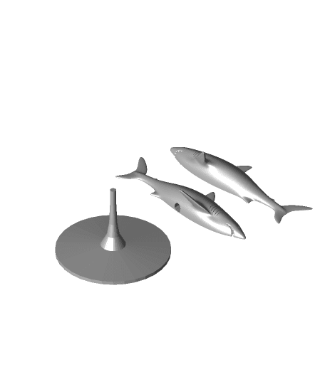 Hunter Shark 3d model