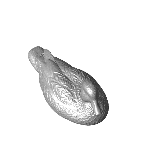 Duck（generated by Revopoint POP） 3d model
