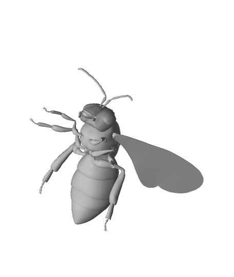 Bee v3.fbx 3d model