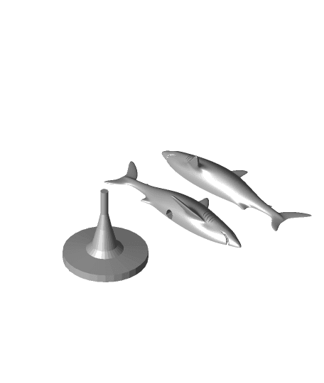 Reef Shark 3d model