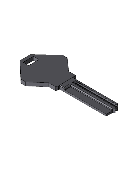 blank key  3d model