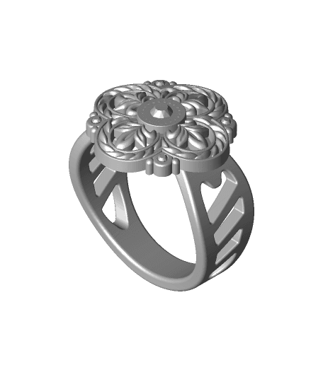 ring.stl by 3Dprinting full viewable 3d model