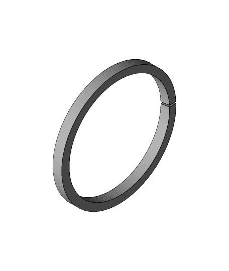 Piston Ring.ipt 3d model