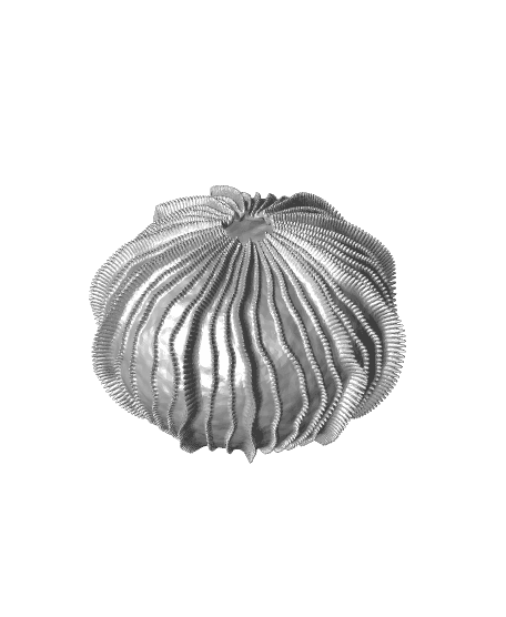 Sea Urchin Shells (Finlets) 3d model