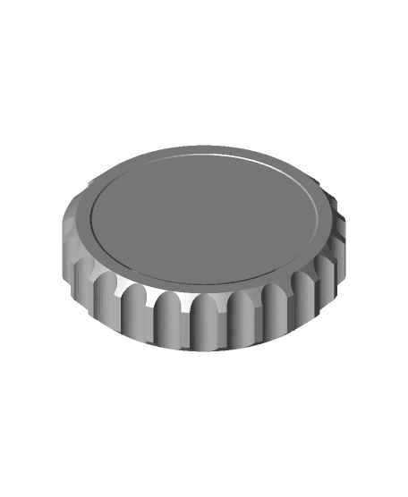 fidget coin  3d model