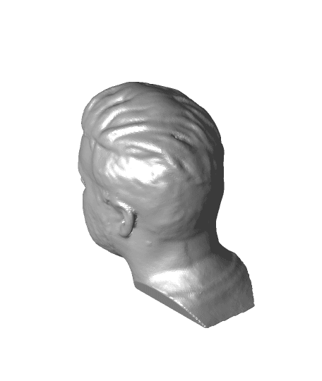 Uncle Jessy Head Scan for Helmet Scaling by UncleJessy full viewable 3d model