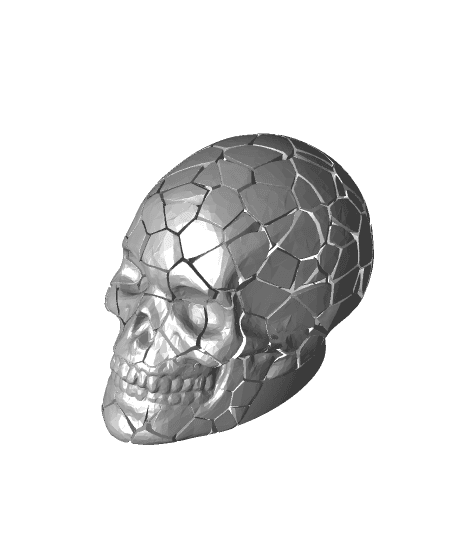 Cracked Skull 3d model