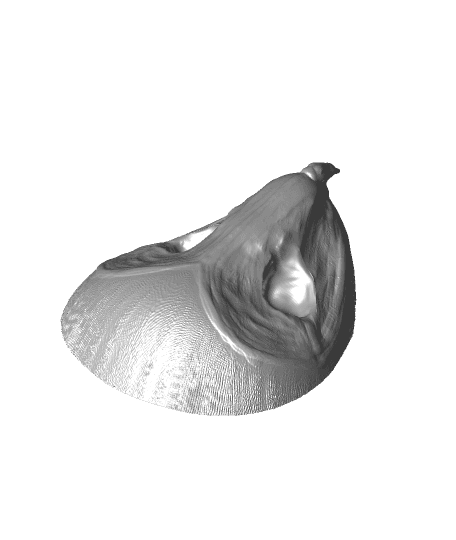 Owl sculpt by MobileSculpt full viewable 3d model