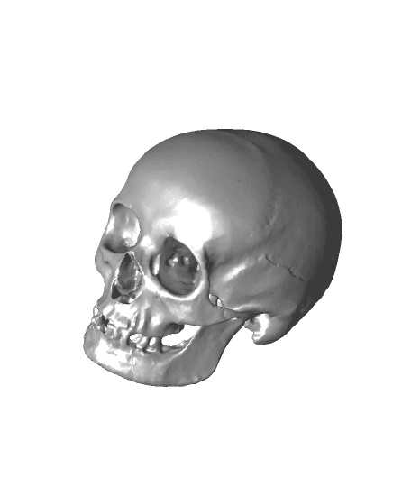 Real Skull.3mf 3d model