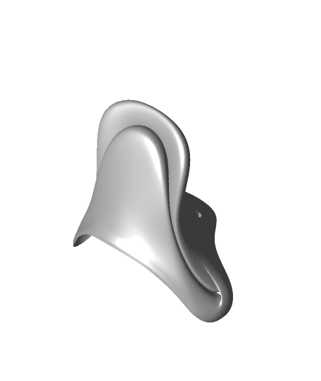 DuckCap2.stl 3d model