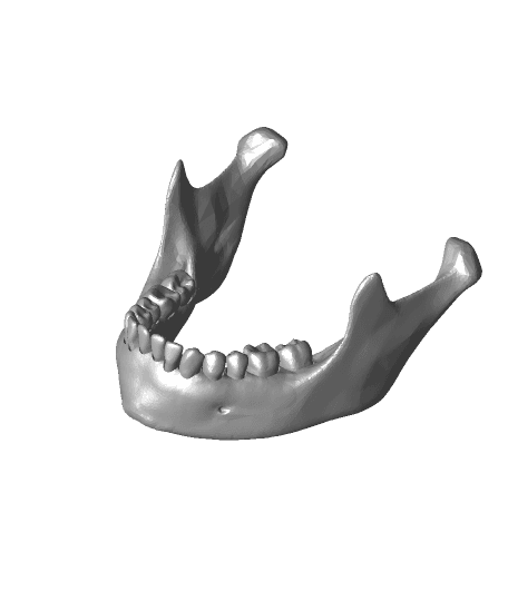 Loose Teeth 3d model