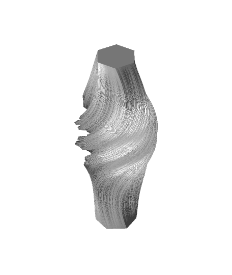 Fractal Flake Vase 3d model