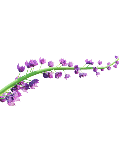 Geometry Nodes Flower in Blender 3.0 3d model