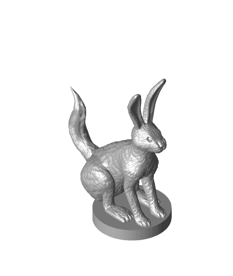 Long Tail Jack Rabbit 3d model