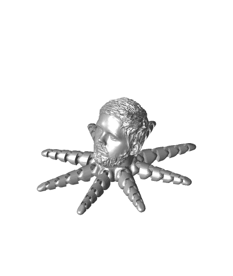 itsboyinspace octopus.stl 3d model