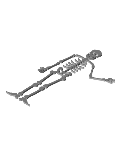 skeleton (flat) 3d model