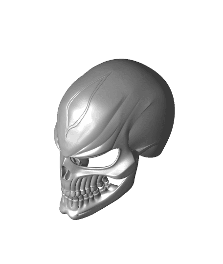 Ghost Rider Helmet 2 piece.stl 3d model