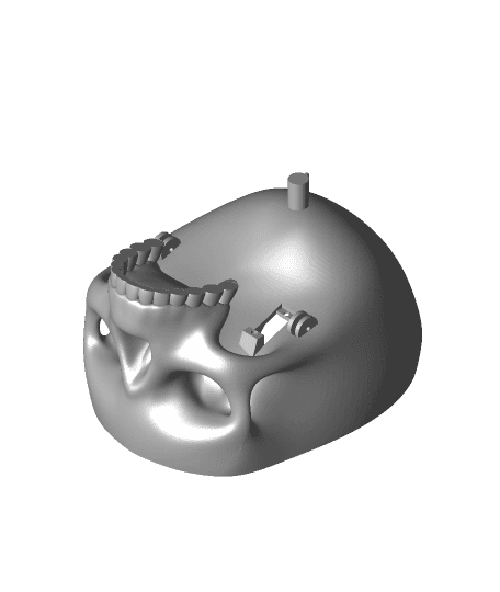 Skull_bottom.stl 3d model