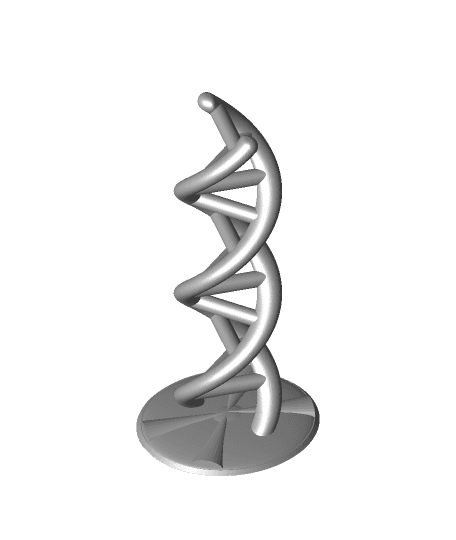 DNA with X-ray Diffraction Base 3d model