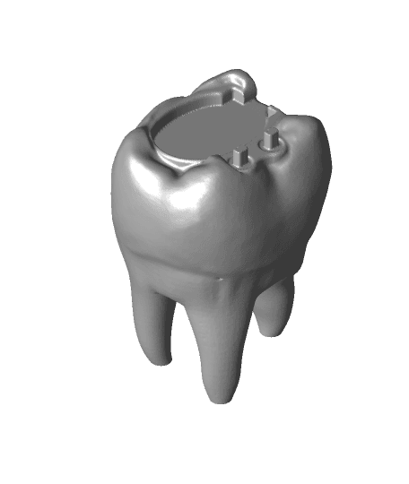 Tooth shaped toothbrush holder for Oral B 3d model
