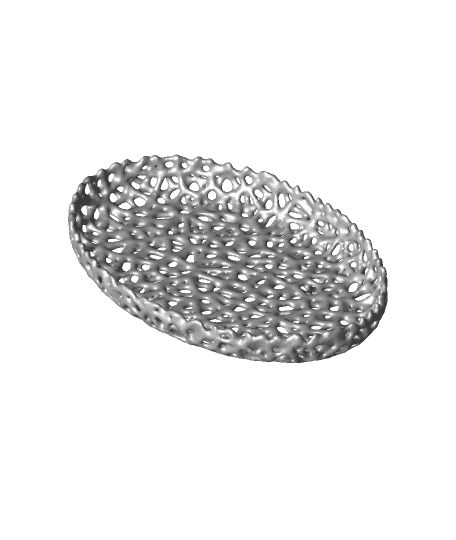 Oval Voronoi Soap Dish 3d model
