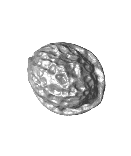 Walnut（scanned by Revopoint MINI） 3d model