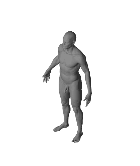 Human Male Body 3d model