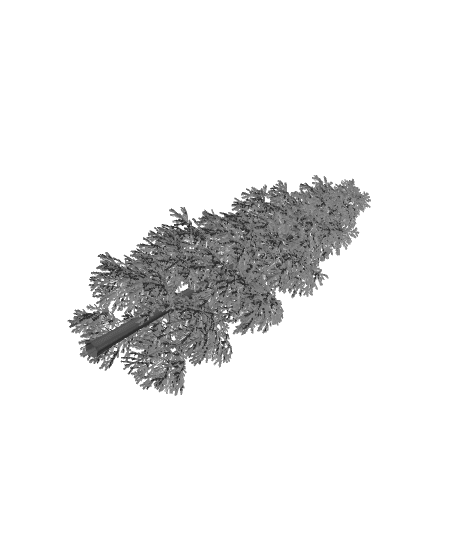 Sequoia_1.fbx 3d model