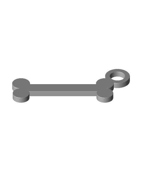 Bone Keychain - Print in place 3d model