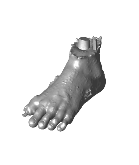 Halloween Bloody Foot 🦶🩸🎃 3d model