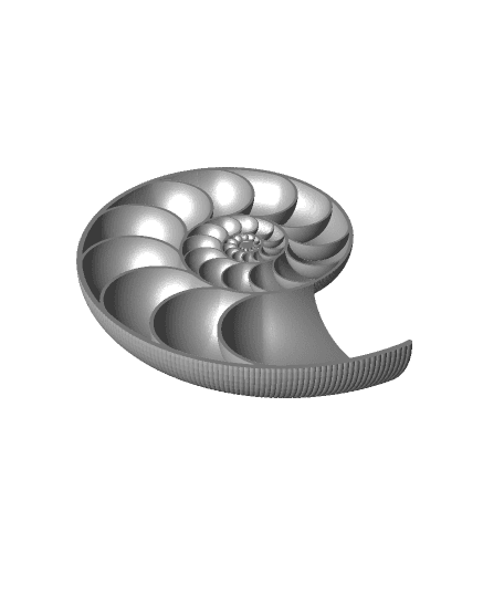 Nautilus Shell Cross Section by DaveMakesStuff full viewable 3d model